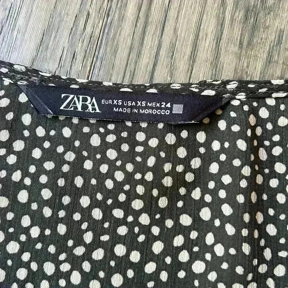 Zara  | Sheer polka dot long sleeve dress - Picture 9 of 12